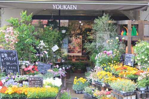 ユー花園 下北沢本店