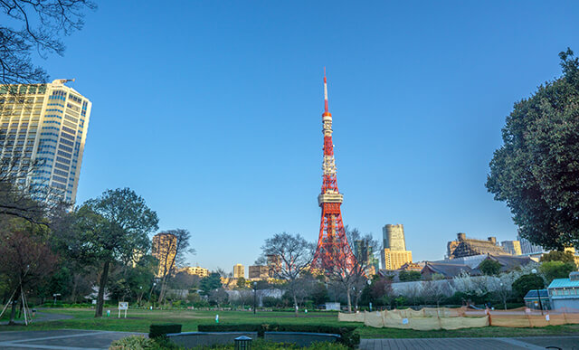 芝公園の散策と東京タワーデートを楽しんで