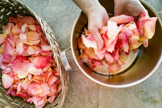 バラの花びらはどう保存する？