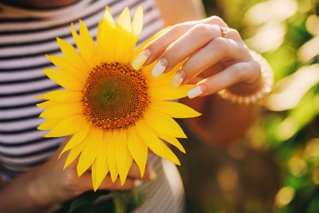 シンフラワーではその花にあった最適な保存加工方法を提案